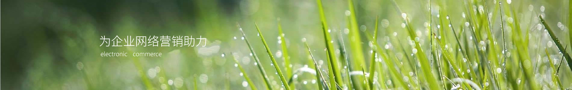 ʰ½ܰװ޹˾